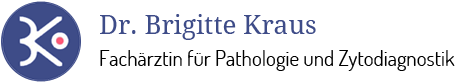 BHZ Institut Dr. Kraus GmbH - Logo